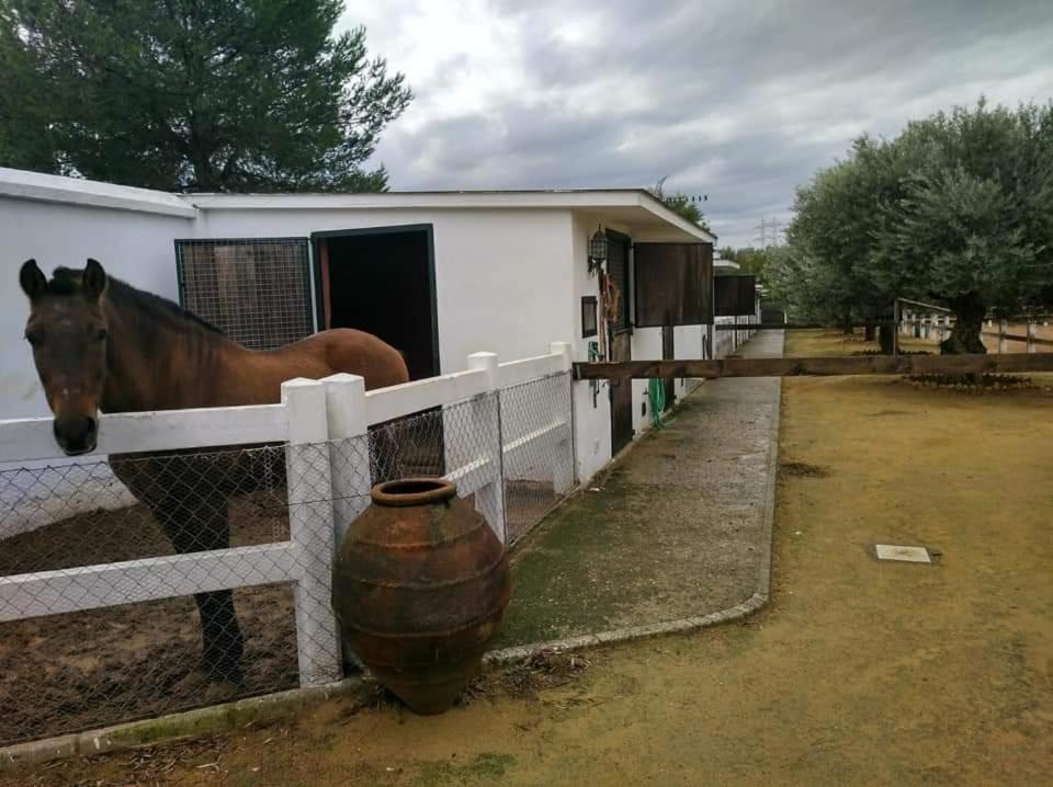 Finca Rural La Canera 16 Huespedes Севілья Екстер'єр фото